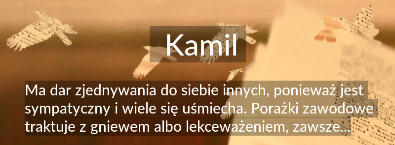 Znaczenie imienia Kamil