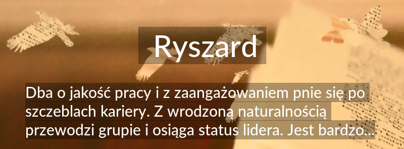 Znaczenie imienia Ryszard