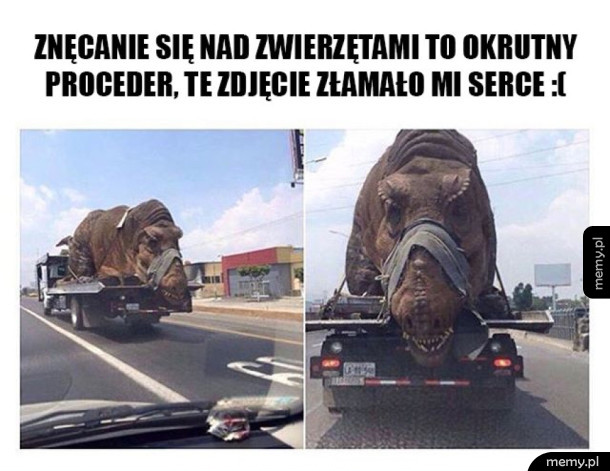 Znęcanie się nad zwierzętami
