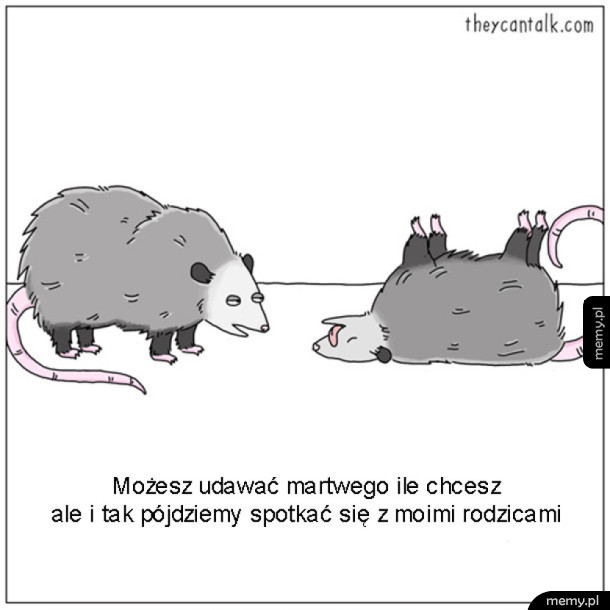 Kiedy trzeba spotkać się z teściową