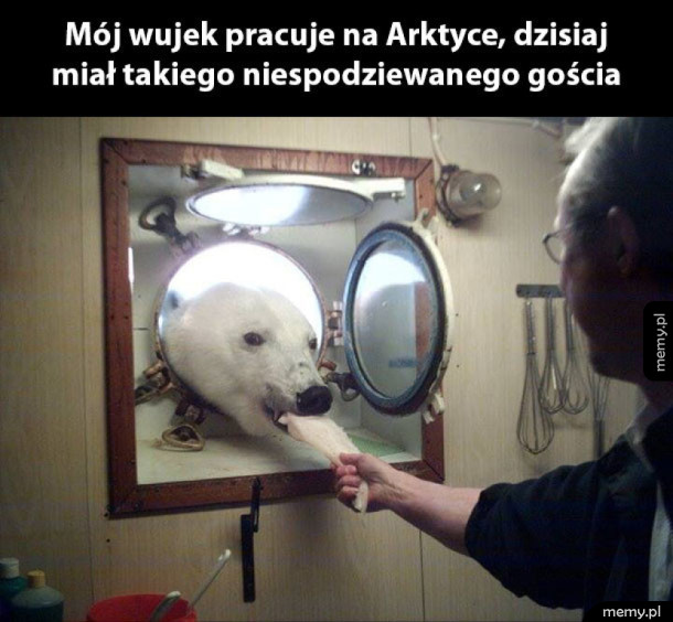 Fajny niespodziewany gość