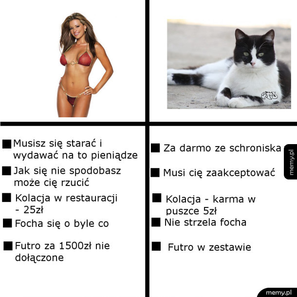 Fakty mówią same za siebie