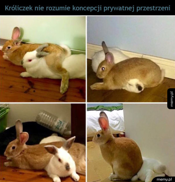 Awwww