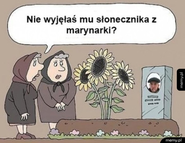 Ostatnie zaskoczenie