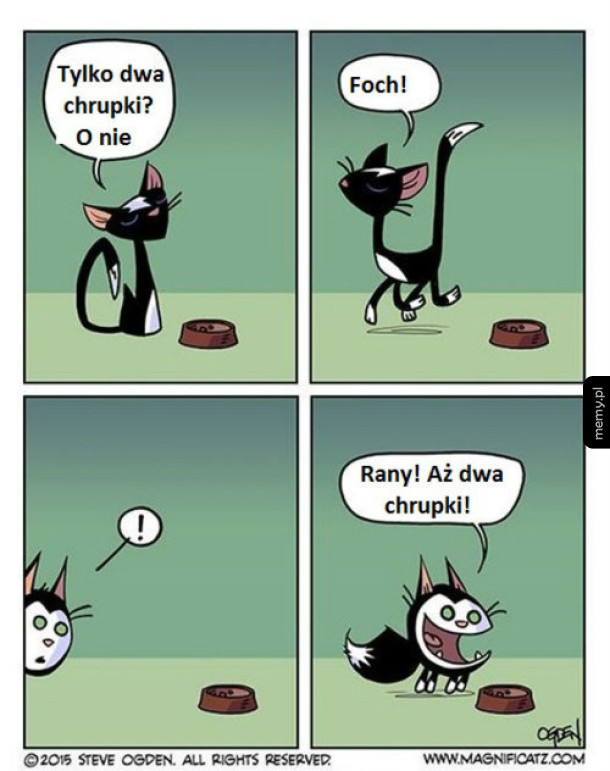 Logika kota