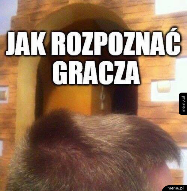 Jak rozpoznać gracza