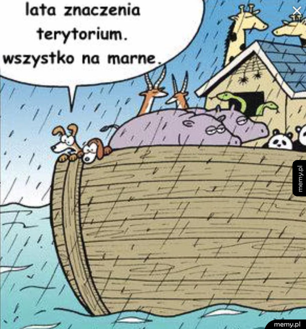 Smutne pieski