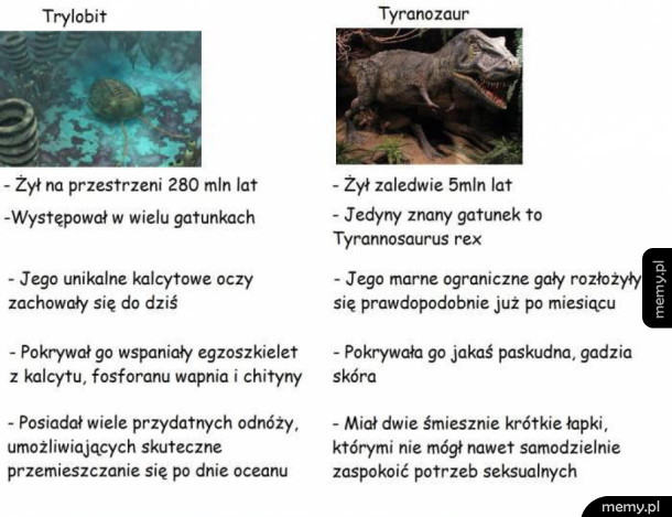 Paleontologiczne porównanie