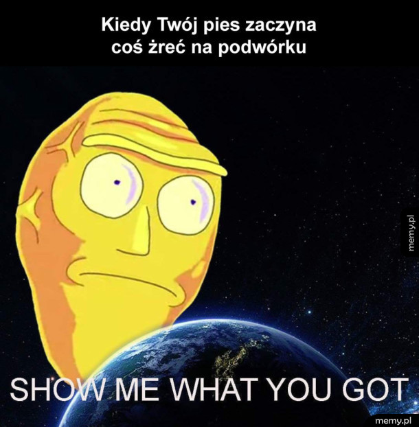 Puszek zostaw to