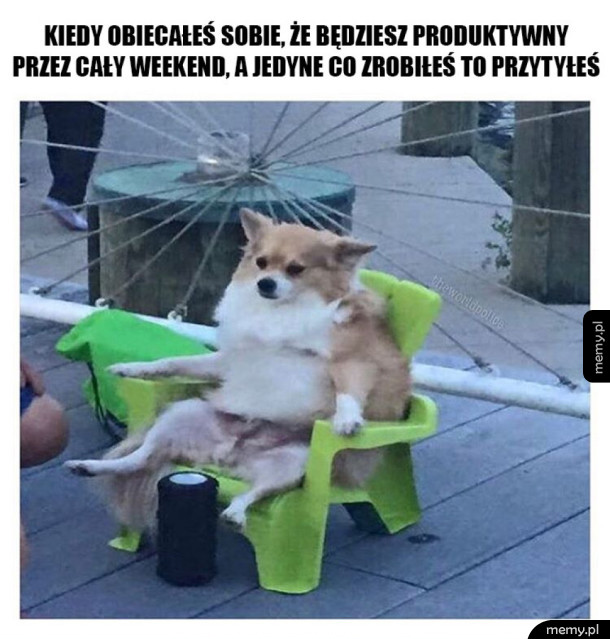 Kolejny produktywny weekend za mną