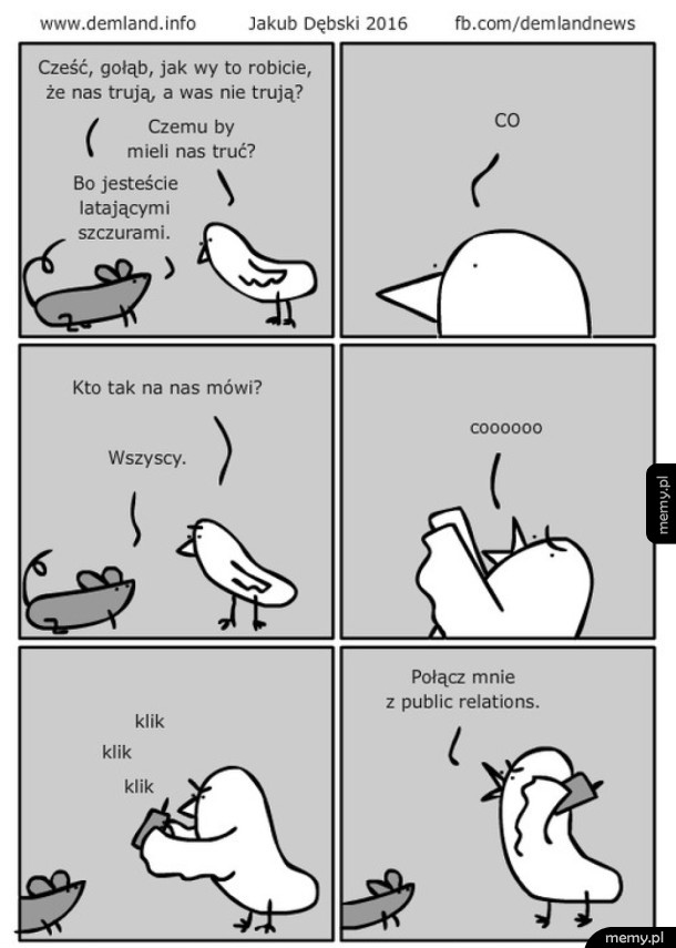 Latające szczury