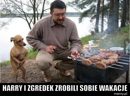 Harry i Zgredek na wakacjach