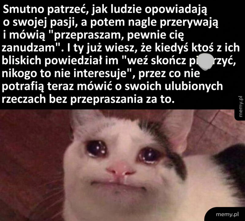 Kot z wyrazem smutku i zmartwienia na twarzy.