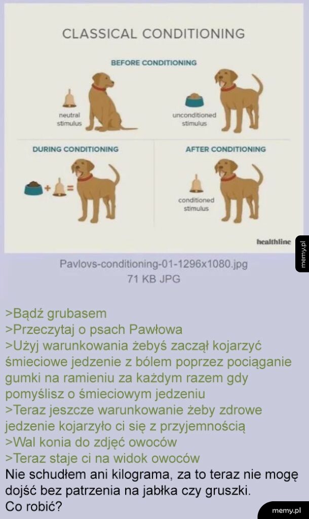 Dwa psy, jeden przed i jeden w trakcie warunkowania klasycznego.