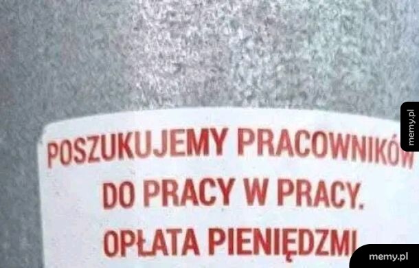 Ogłoszenie o poszukiwaniu pracowników z błędnym sformułowaniem.