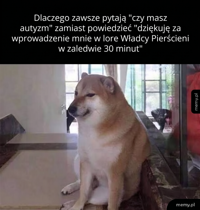 Pies rasy Shiba Inu siedzi na kanapie z wyrazem smutku.