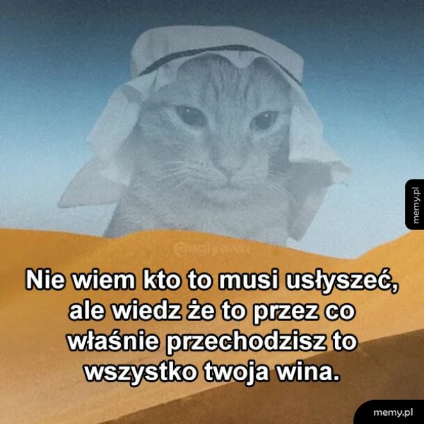 Dobrego dnia