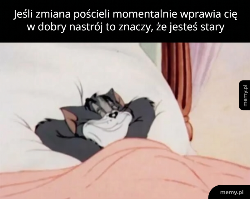 Kot leży w łóżku z uśmiechem na twarzy.