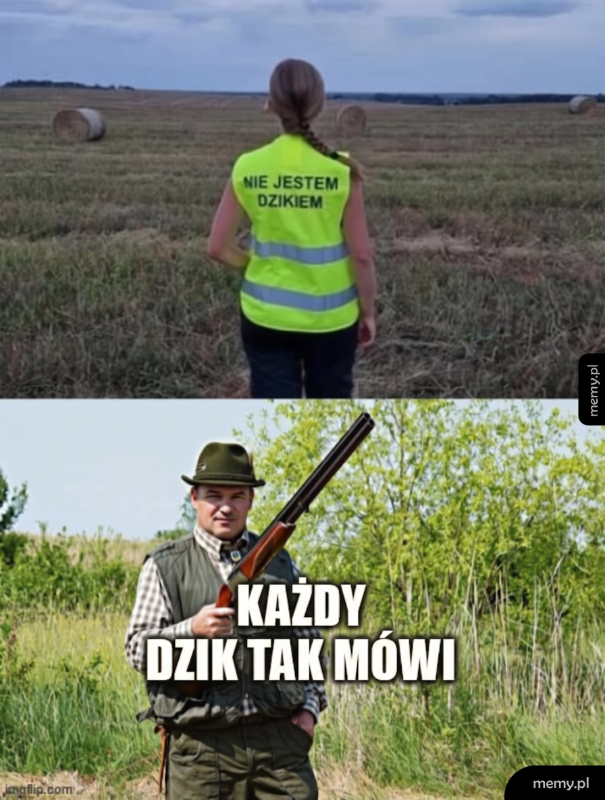 Osoba w kamizelce na polu oraz myśliwy z bronią.