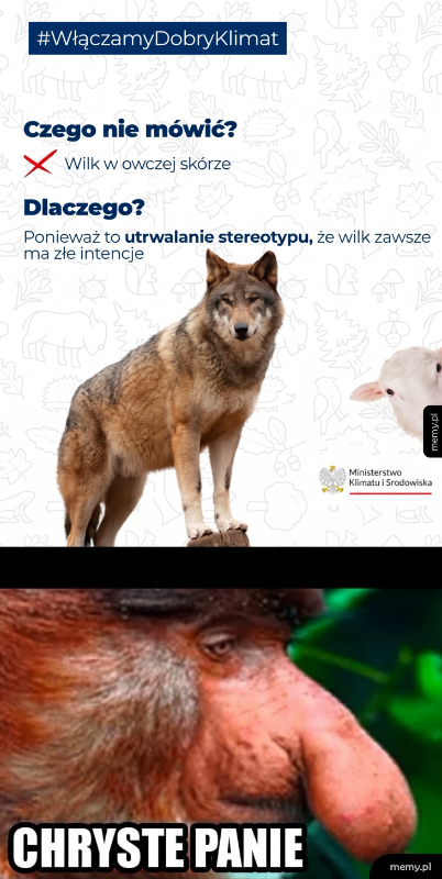 wilk w owczej skórze