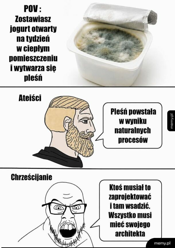 Pojemnik z zepsutym jogurtem pokrytym pleśnią, obok dwa komentarze.