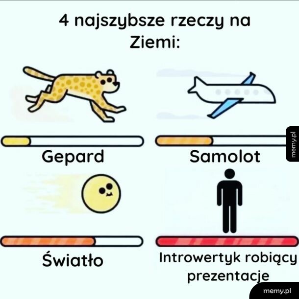Cztery najszybsze rzeczy na ziemi
