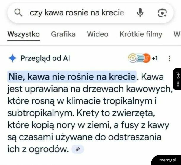 Na Kubie pewnie też nie rośnie, bo Kuba to przecież osoba
