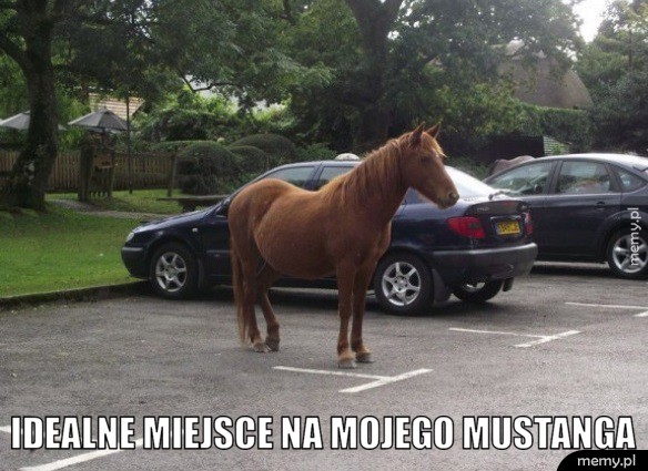 Mustanga
