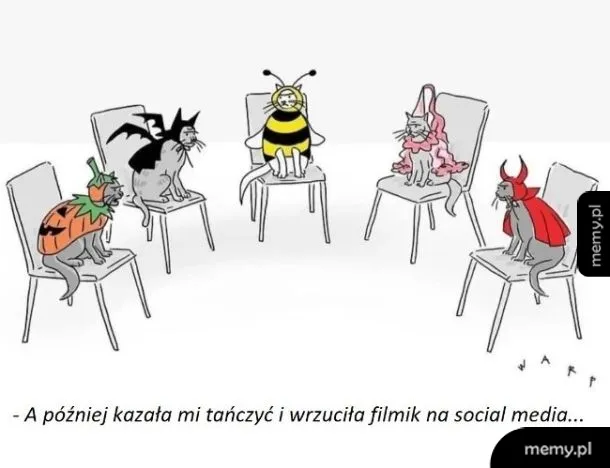 Grupa kotów w kostiumach siedzi na krzesłach.