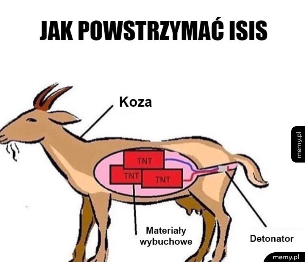 Jak powstrzymać ISIS