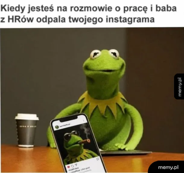Kermit the Frog siedzi przy stole, patrząc na telefon z Instagramem.