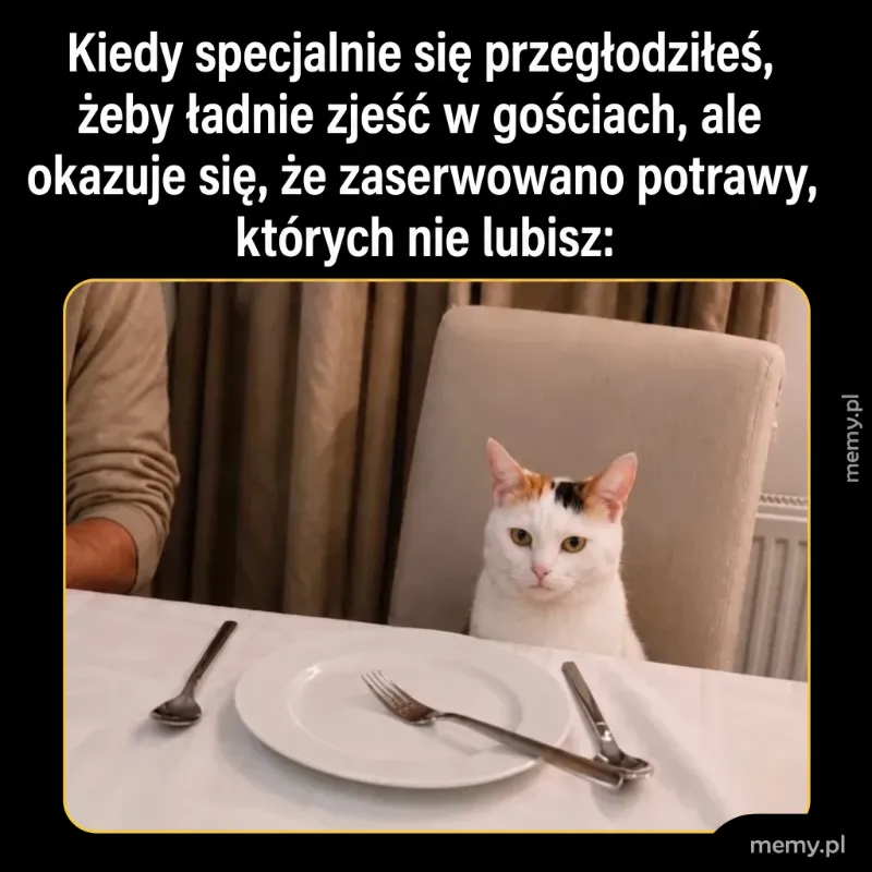 Kot siedzący przy pustym talerzu z widelcem i nożem.