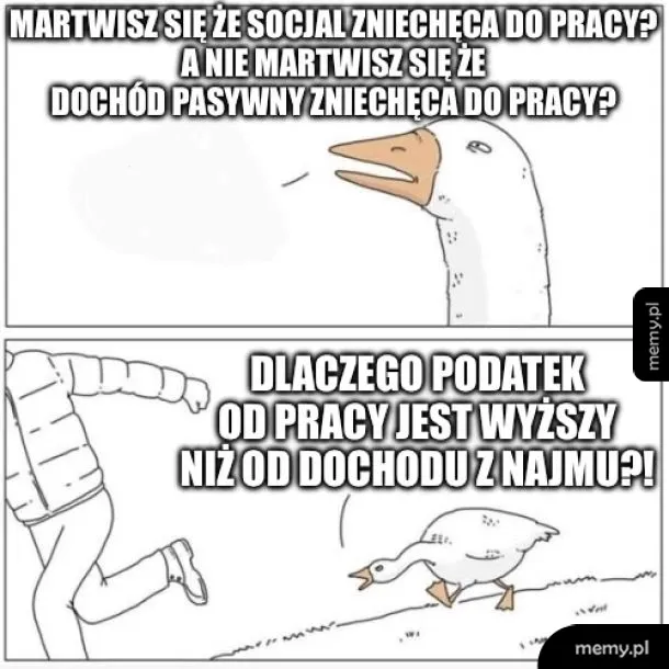 Ptasi móżdżek i podatki
