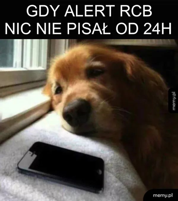 Chyba się obraził