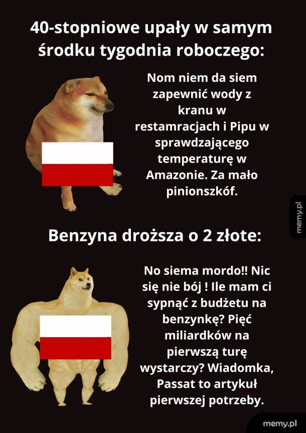 Osobówki to najbardziej wydajny śodek transportu. Tylko dej 5 miliardów,