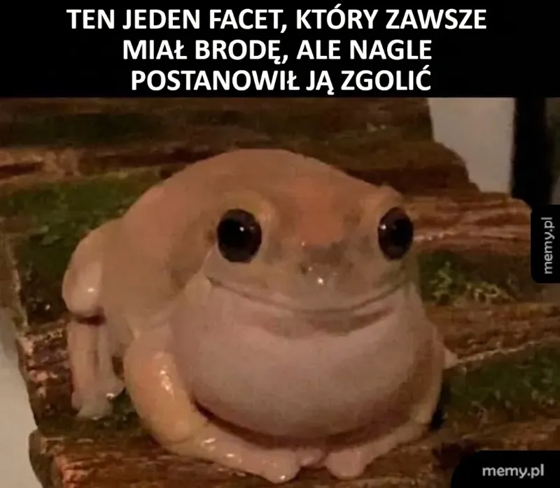Kiedy ogolisz brodę po latach, a w lustrze wita cię gładka żaba! 🐸🧔✂️👶