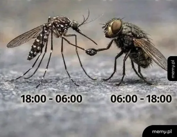 Druga zmiana