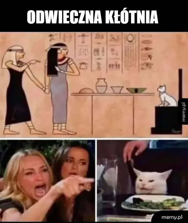 Kiedy drzesz się na kota, ale on ma cię gdzieś już od czasów faraonów! 🤬🏺🐈