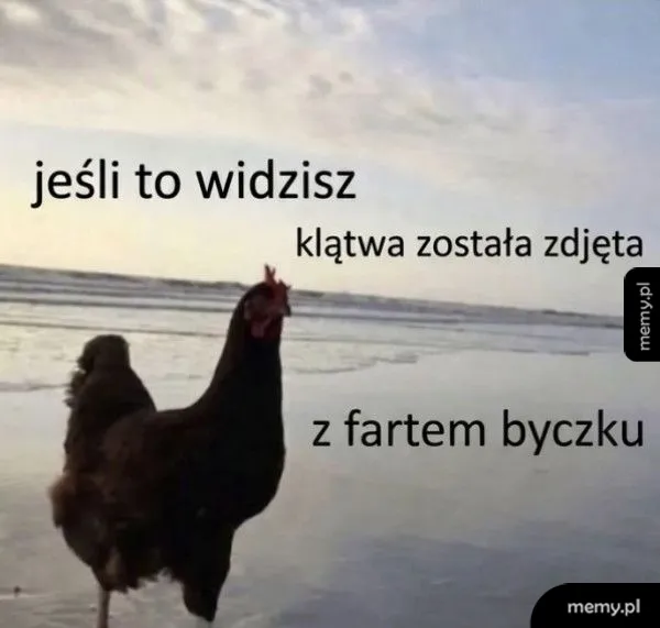 Wpisz tytuł twardzielu