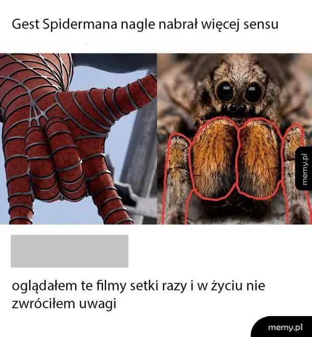 Postać przypominająca Spider-Mana obok pająka z zaznaczonymi cechami.
