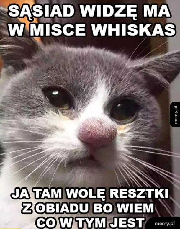 Sąsiad panisko