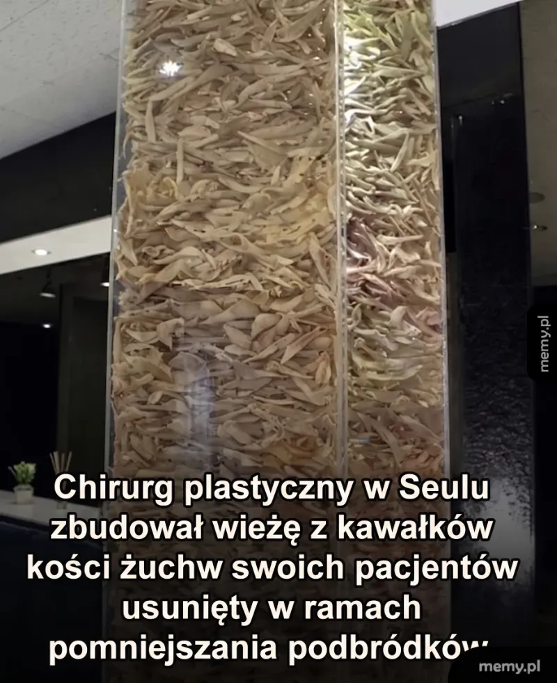 Wysoka wieża z kawałków kości w szklanej gablocie.