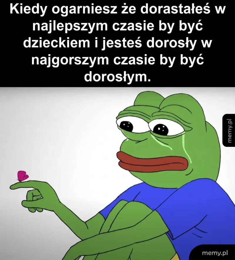Postać żaby trzymająca motyla, wyrażająca smutek i refleksję.