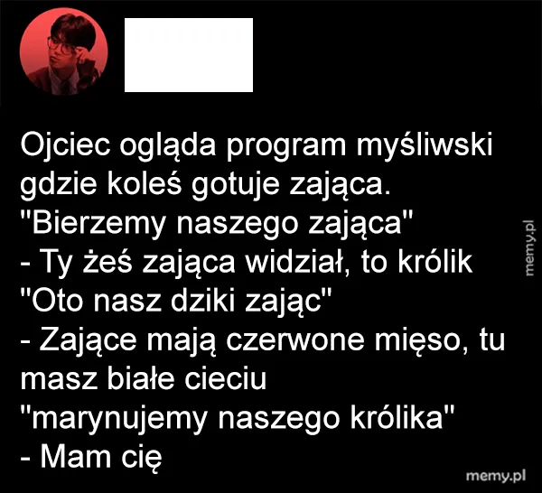 Zając, królik jeden pies