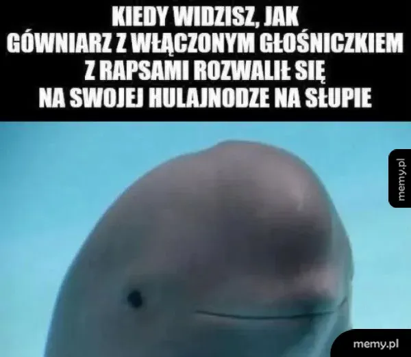 Kiedy wracasz zmęczony po pracy, I myślisz że nic nie poprawi ci humoru, a tu nagle taki widok 😀 🛴🧒