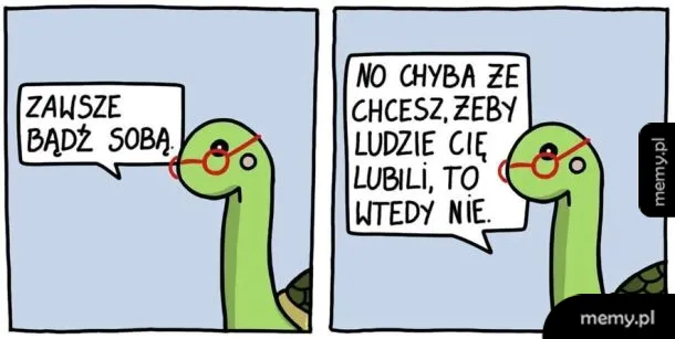 Zielona żółw z okularami mówi do drugiego żółwia.