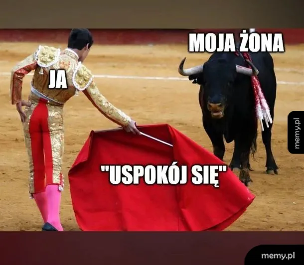 Mężczyzna w stroju torreadora z czerwonym płótnem i byk.