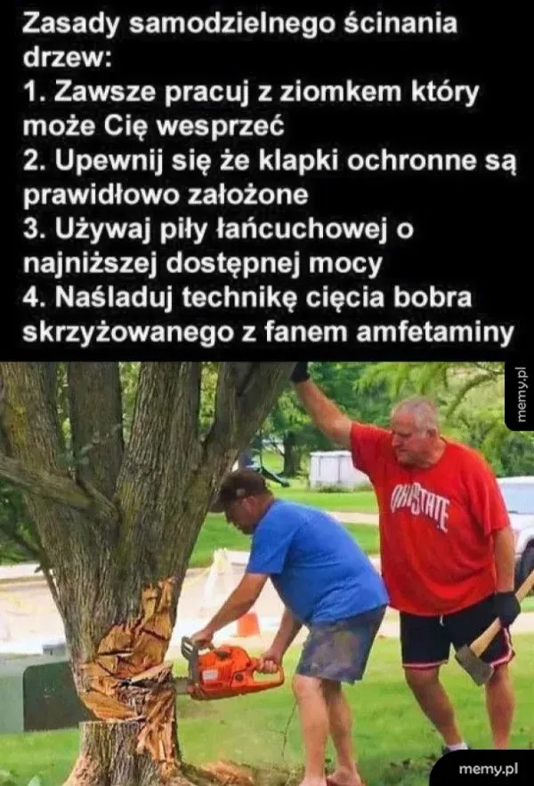 Pewnie pijani 🌳
