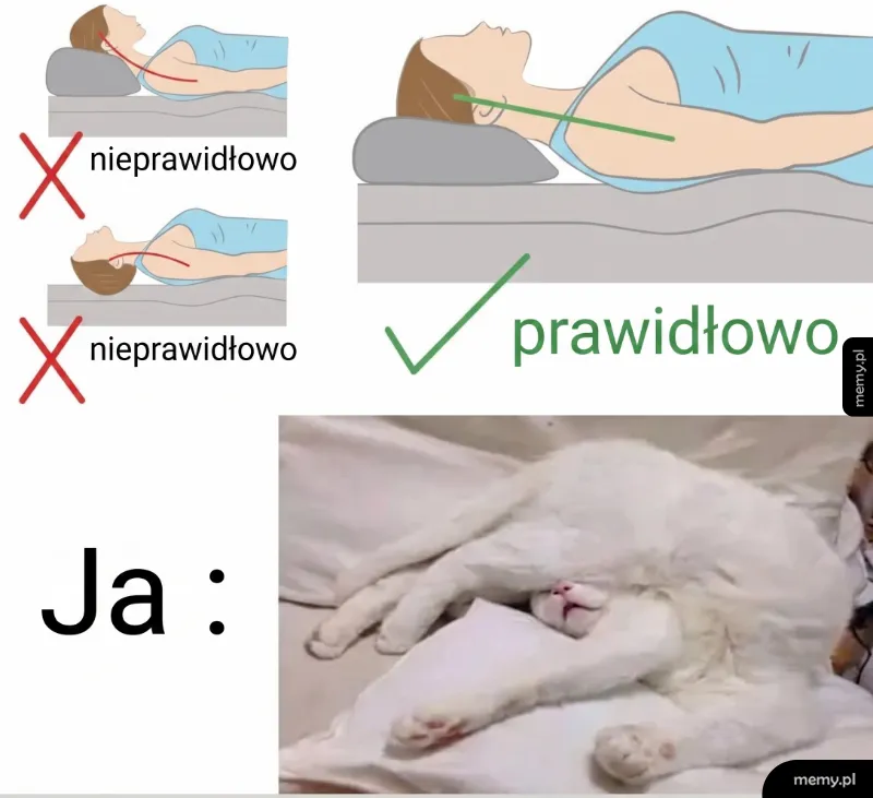 Kobieta leżąca na poduszce w poprawnej i niepoprawnej pozycji, obok kot na poduszce.