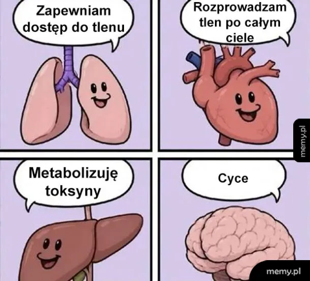 Rysunkowe postacie przedstawiające płuca, serce, wątrobę i mózg z uśmiechami.